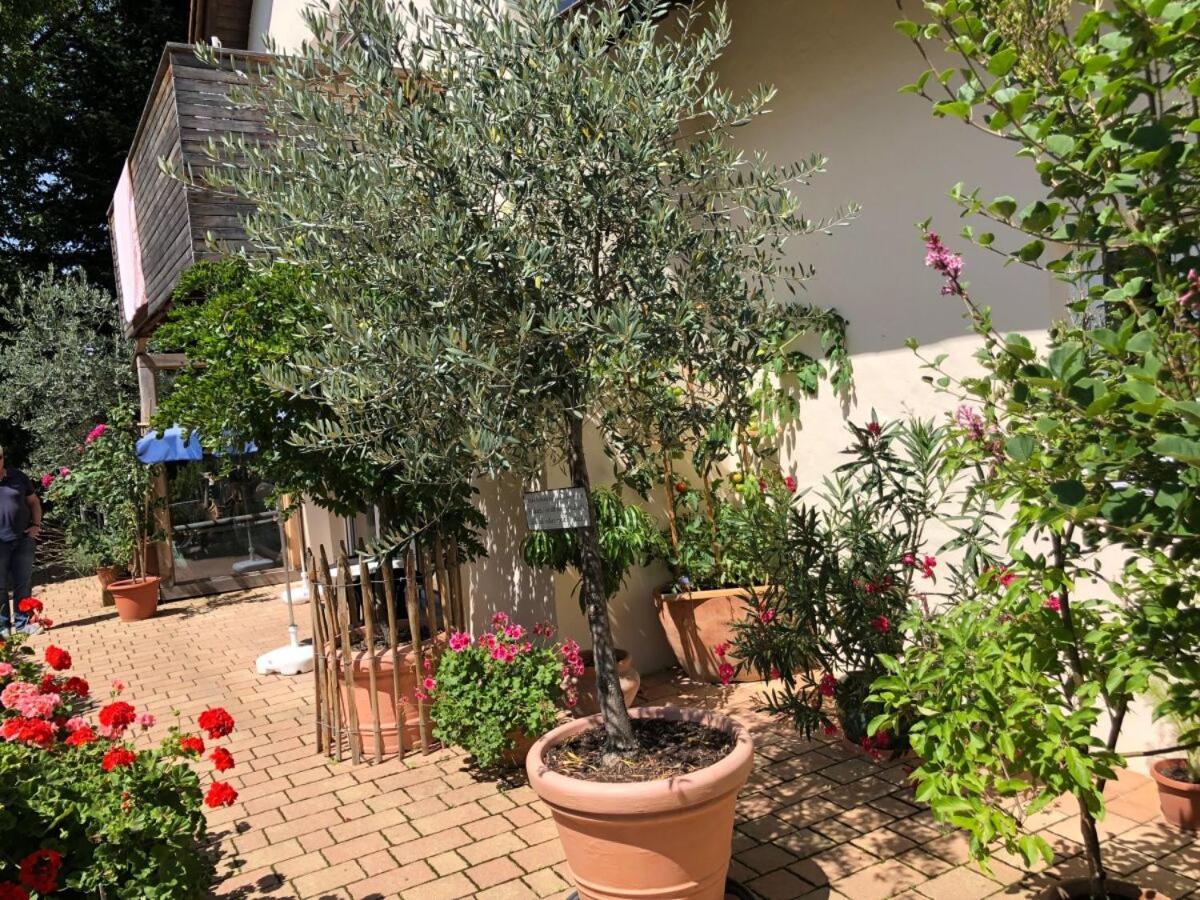 Ferienwohnung Lechraum In Waal Bagian luar foto